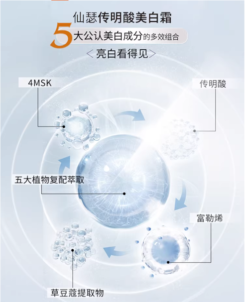 图片12.png